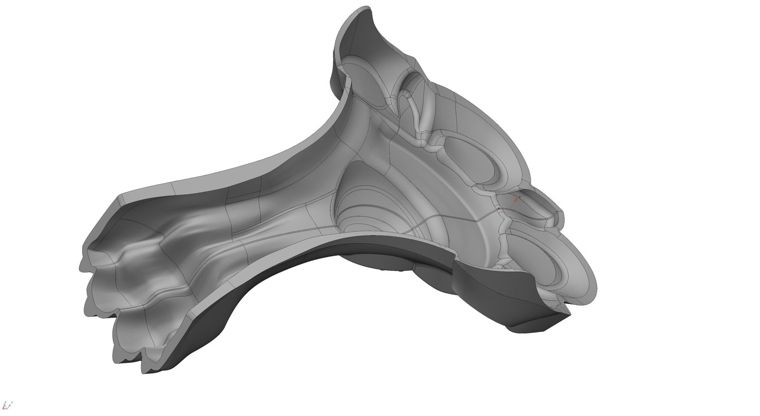 CAD model of the foot, section view
